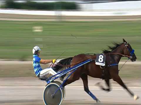 Trotto 21/09/2019 - 5ª corsa