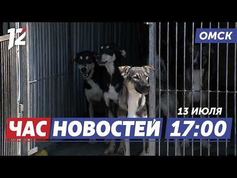 Приют, меняющий судьбы / Главный праздник лета / Штраф за съемку дронов. Новости Омска