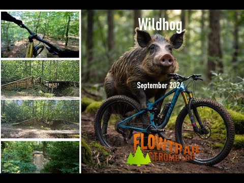 Flowtrail Stromberg Wildhog September 2024