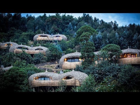 Solo Gorilla Trekking — Rwanda Adventure