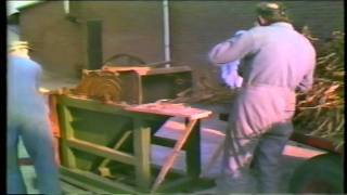 Bonen dorsen bij de familie Dol 1984