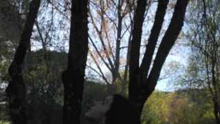 BALONES POR LOS AIRES, TRABAJO MÚSICA