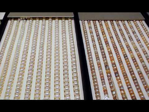 Perlen und Schmuck aus Tahitiperlen , Akoyaperlen , Süßwasserperlen, Zuchtperlen bei der Norddeutschen Schmuckwerkstatt-Perlenschmuck als Perlenketten, Perlenarmbändern, Perlenohrsteckern, Perlenringen sowie Perlenanhängern.