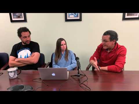 Software, Hardware, or Human Malfunction? The Embedded Insiders on Grounded Boeing 737s