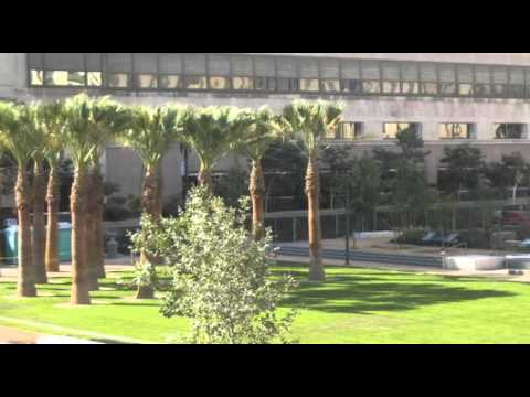 Higgins Loft  #213 For Lease - Downtown L.A.