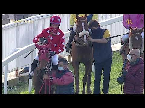 Turflash 7 gennaio 2021