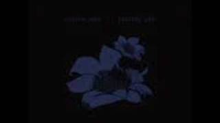 Bright Eyes - I Belive In Symmetry