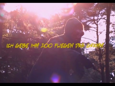 Lazy Lizzard Gang – Durch die Nacht // JUICE Premiere