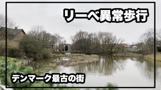 デンマーク最古の街 リーベで異常歩行してきました