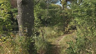 Following the Trail of a Missing Hiker