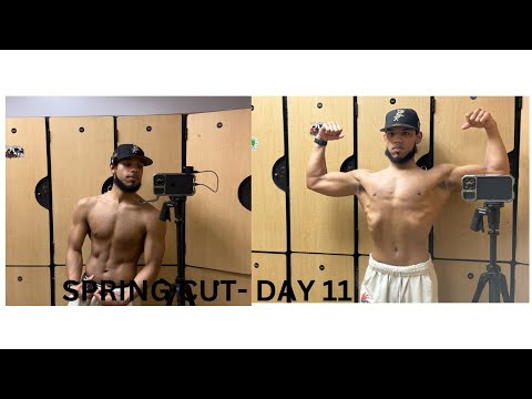 Spring Cut - Day 11 ( Gym Vlog )