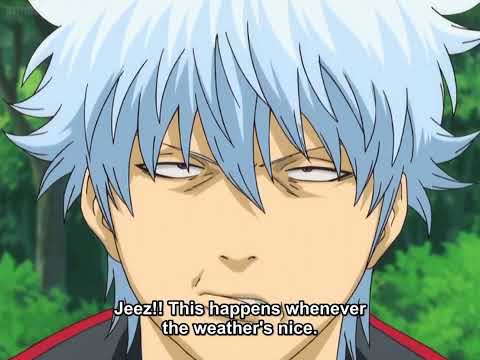 Yorozuya went to park with full of couples😂😂😂