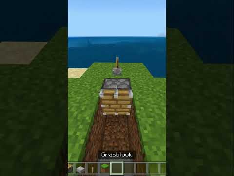 Bedrock X-Ray Glitch