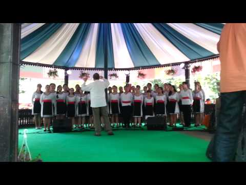 CORUL DE COPII RADIO - INFLORIT-A RUGUTU