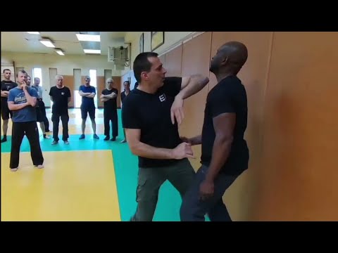 most efficient system self defense technique Fred maestro and Krav maga