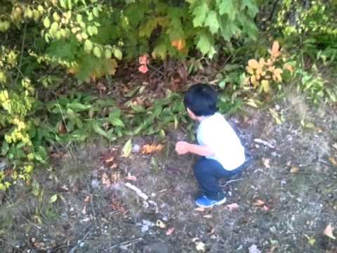 위험한 흑형들과 집 뒷동산에서