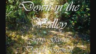 Down in the Valley - Jerry Garcia & David Grisman