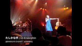 たしかな手(live)/Hi-Endorphin