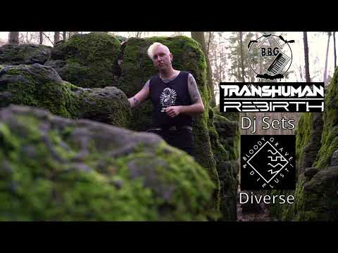 Ben Bloodygrave - Kanaltrailer 2022