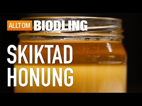 Skiktad honung
