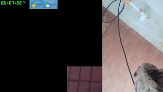 【ツバメさんSwallow】202306-07電線空配信だったけどカメラおかしくてだめでございます´・ω・｀)Wild birds