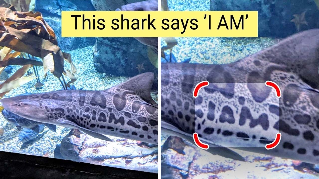 Strange Findings That Left Us Speechless