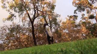 Promise Me You&#39;ll Remember