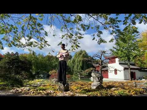 Benja - Bloom (Official Audio) - YouTube