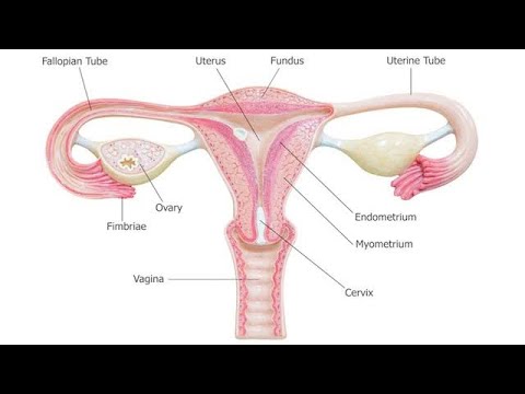 Differences between Reproductive tract infection and Sexually transmitted infections