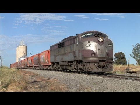 GM36 with C501 Jung Sat 24/10/09