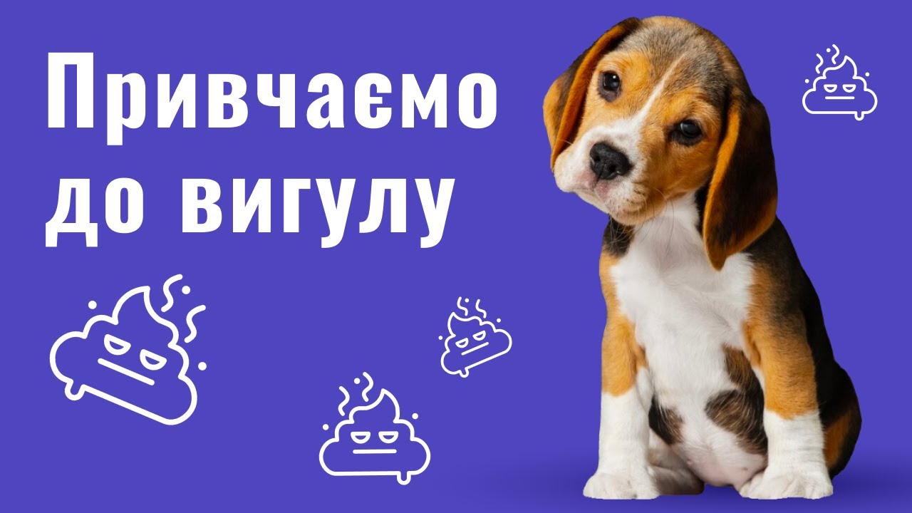 YouTube video preview