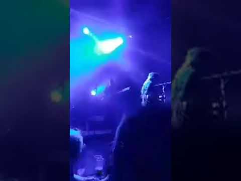 Marcus Gad & Tribe Avril 2019