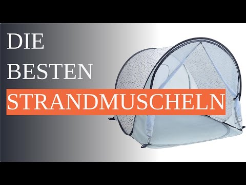 Die 7 besten Strandmuscheln