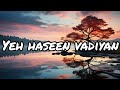Yeh Haseen Vadiyan Lyrics Lofi