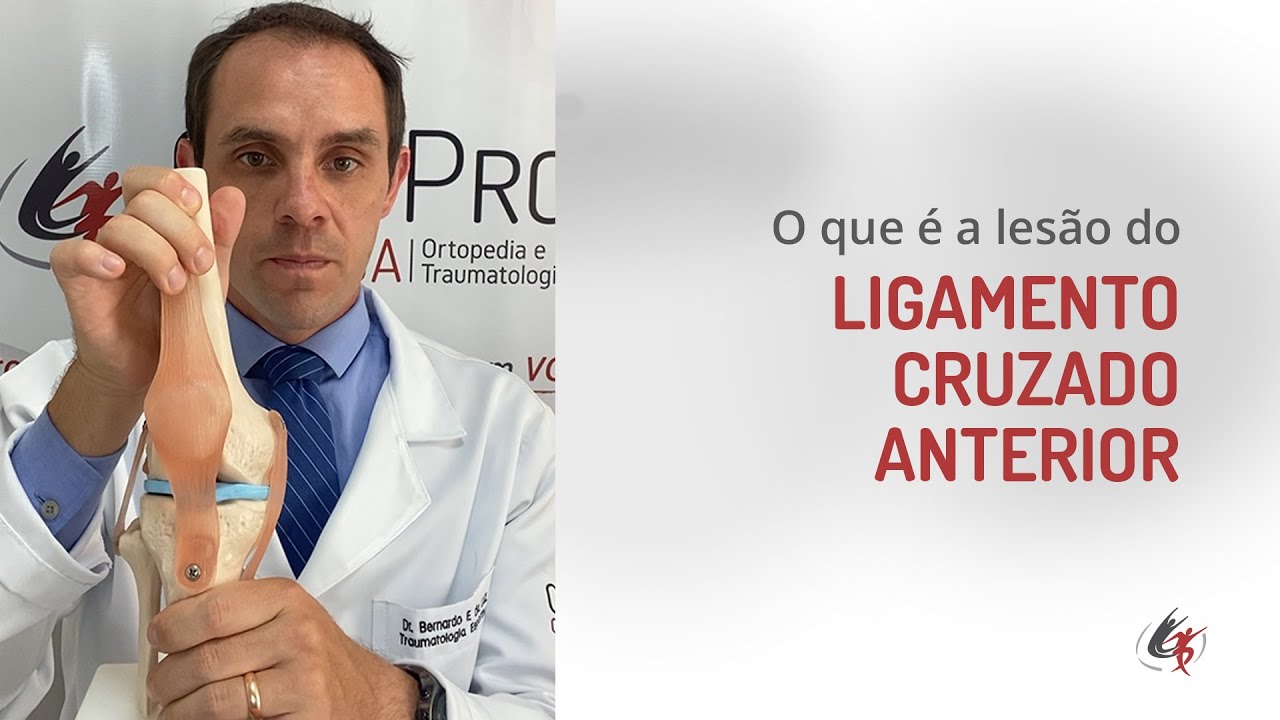 Bernardo Ferreira Da Luz-6