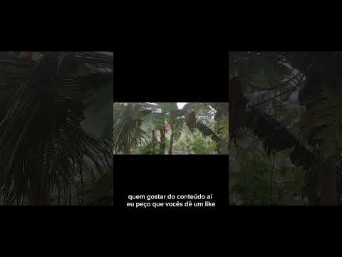 tá chovendo muito na chapada do Araripe Ceará