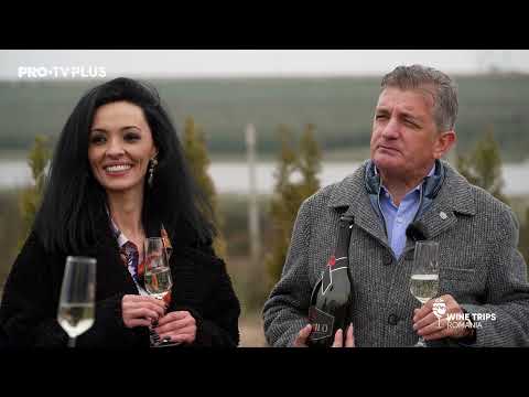 Wine Trips România S2E4 | Cosmina Păsărin la Crama Hermeziu, în căutarea poveștilor spumoase