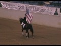 American Flag presentation at Sport Horse ...