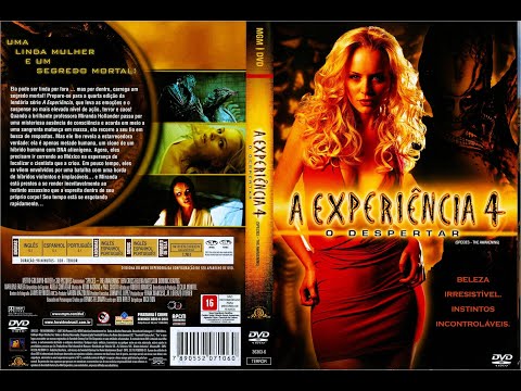 2007 Experiência 4 - O Despertar
