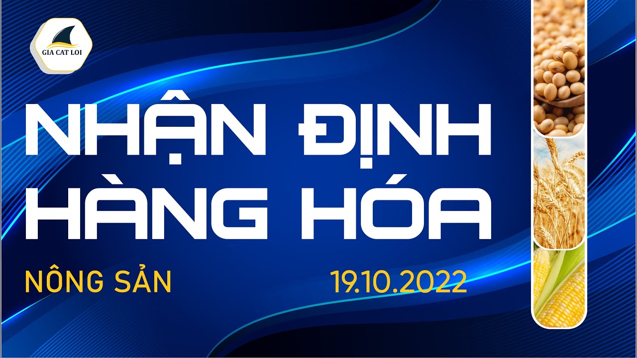 Nhận Định Thị Trường Nông Sản Ngày 19/10/2022