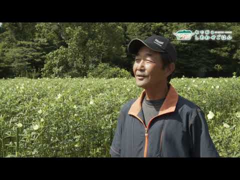 2022年8月5日(金)放送 オクラ生産者の声