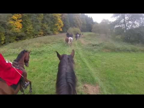 Drahenice Reitjagd 2016 1-9