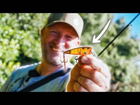 Perch escalation on the surface! How it's done