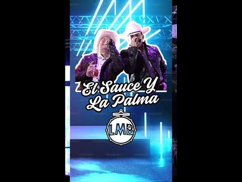 🎬 El Sauce Y La Palma - La Misma Banda Feat El Temazo