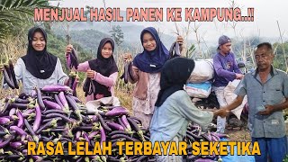 Download lagu MENJUAL HASIL PANEN KE KAMPUNG..!! RASA LELAH TERBAYAR LUNAS SEKETIKA mp3 Download lagu MENJUAL HASIL PANEN KE KAMPUNG..!! RASA LELAH TERBAYAR LUNAS SEKETIKA mp3