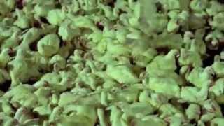 Copy of The Crystal Method-The American Way ft. Rahzel