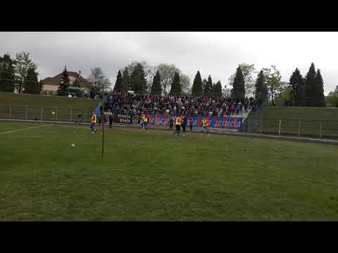 Warta Zawiercie - Polonia Bytom [ Kibice ]