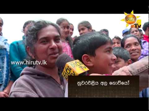 Hiru TV