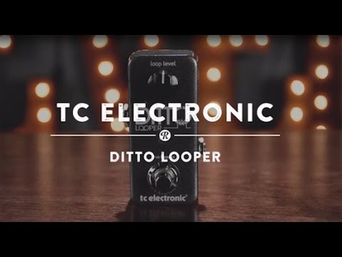 TC Electronic Ditto Looper | Reverb Demo Video