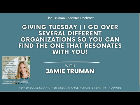 E88 - I Go Over Several Different Organizations So You Can Find The One That Resonates With You!